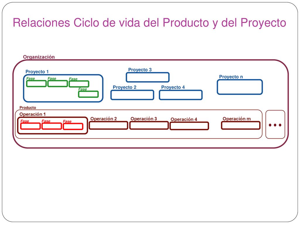 Relaciones Ciclo de vida del Producto y del Proyecto