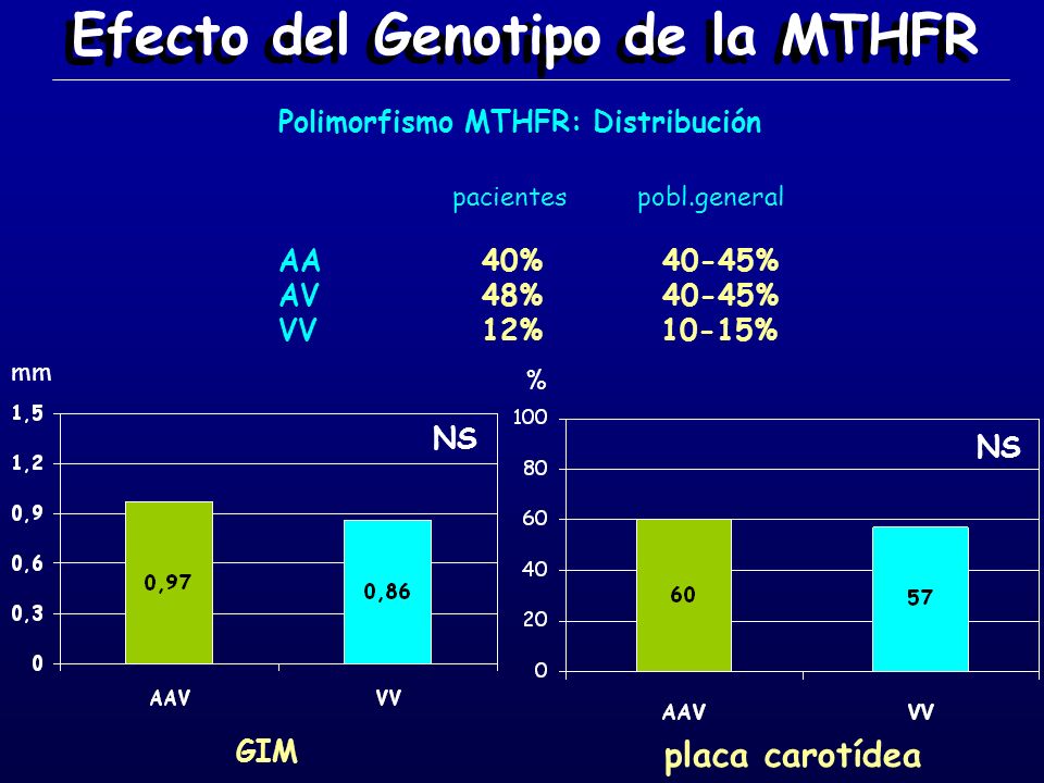 Efecto del Genotipo de la MTHFR