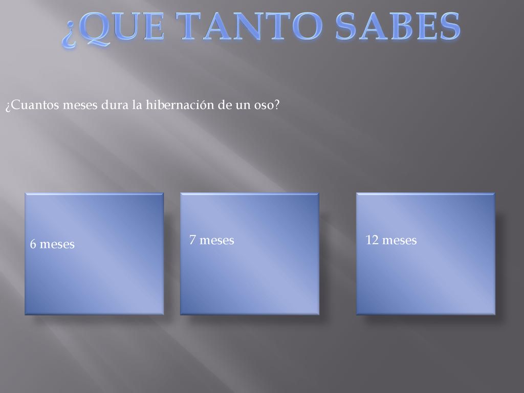 ¿QUE TANTO SABES ¿Cuantos meses dura la hibernación de un oso 7 meses