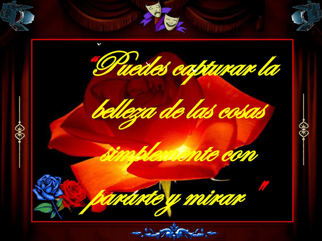 Puedes capturar la belleza de las cosas simplemente con pararte y mirar