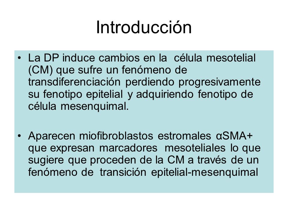 Introducción