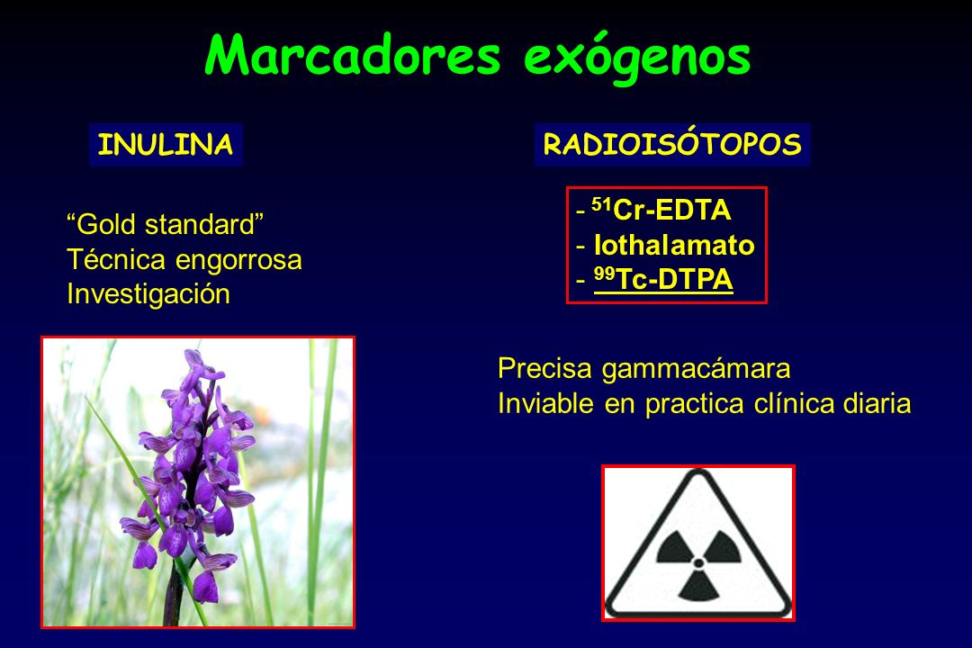 Marcadores exógenos INULINA RADIOISÓTOPOS 51Cr-EDTA Iothalamato