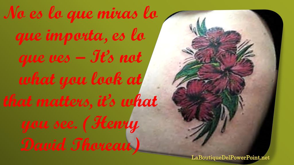 No es lo que miras lo que importa, es lo que ves – It’s not what you look at that matters, it’s what you see. (Henry David Thoreau)