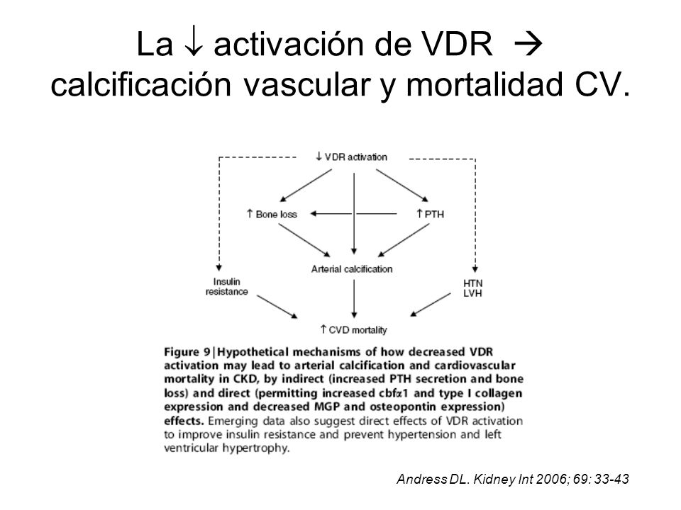 La  activación de VDR  calcificación vascular y mortalidad CV.