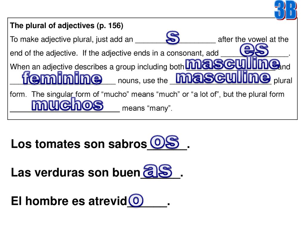 s es os as o masculine masculine feminine muchos 3B