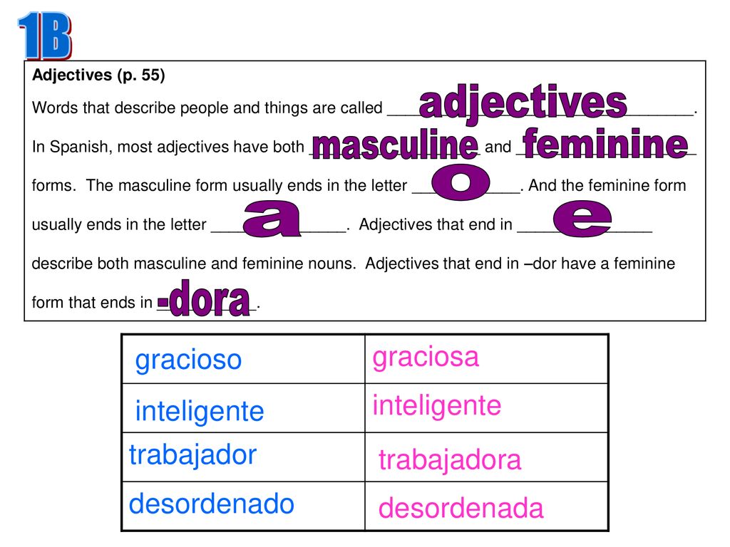1B adjectives masculine feminine o a e -dora graciosa inteligente
