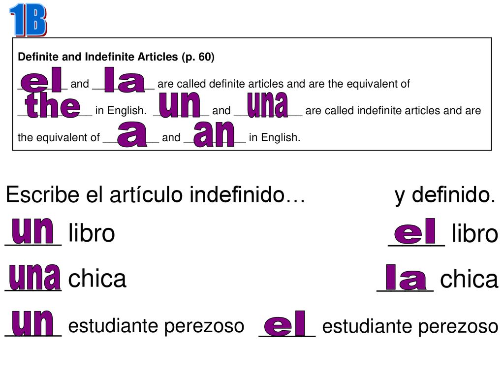 ____ estudiante perezoso ____ libro ____ chica