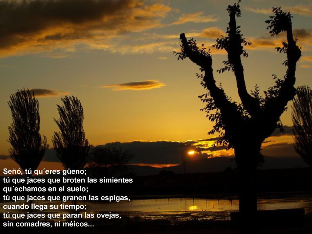 Señó, tú qu´eres güeno; tú que jaces que broten las simientes. qu´echamos en el suelo; tú que jaces que granen las espigas,