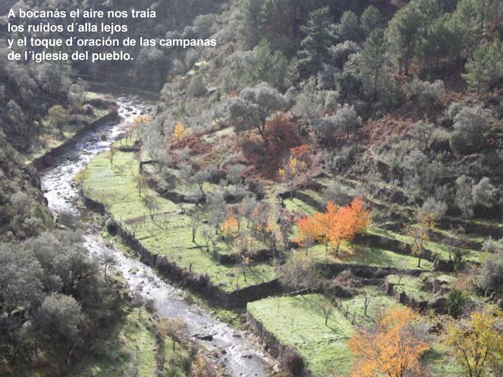 A bocanás el aire nos traía los ruídos d´alla lejos y el toque d´oración de las campanas de l´iglesia del pueblo.