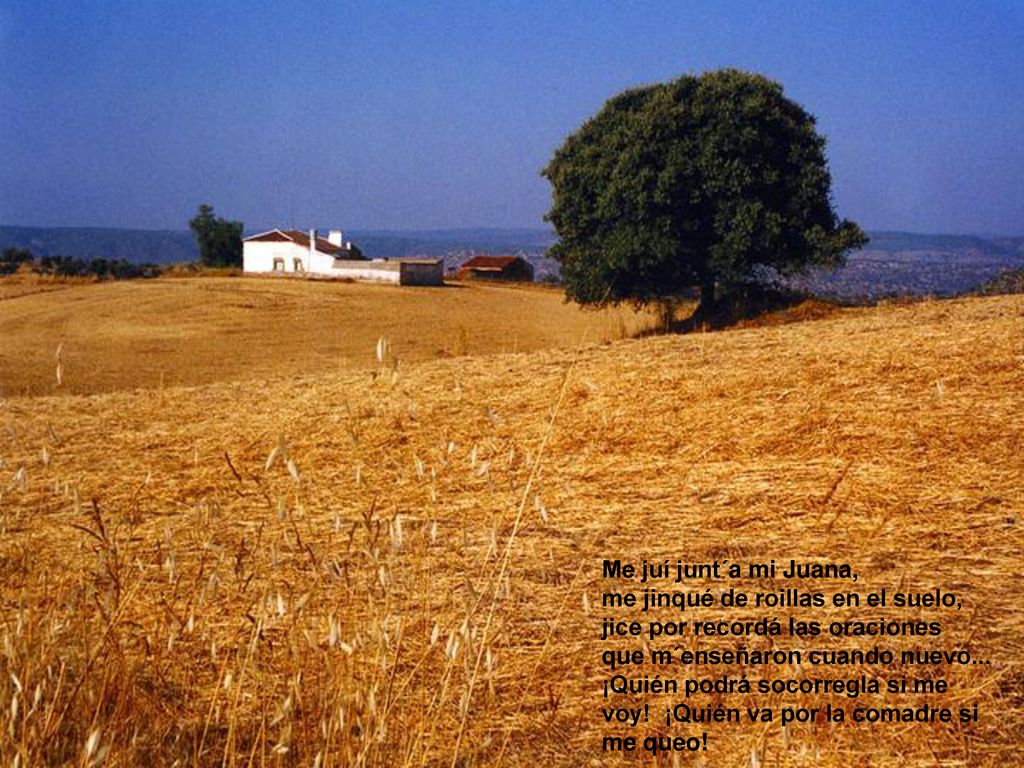 Me juí junt´a mi Juana, me jinqué de roillas en el suelo, jice por recordá las oraciones que m´enseñaron cuando nuevo...
