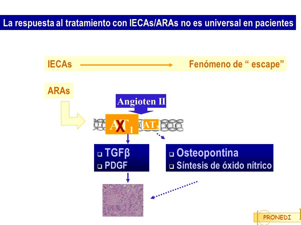 La respuesta al tratamiento con IECAs/ARAs no es universal en pacientes