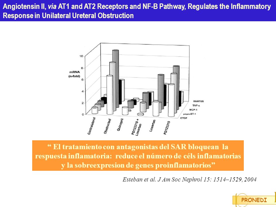Esteban et al. J Am Soc Nephrol 15: 1514–1529, 2004