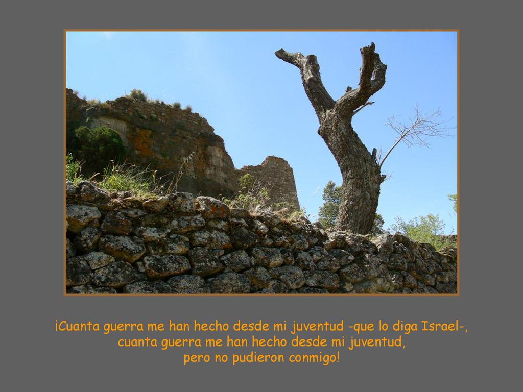 ¡Cuanta guerra me han hecho desde mi juventud -que lo diga Israel-,