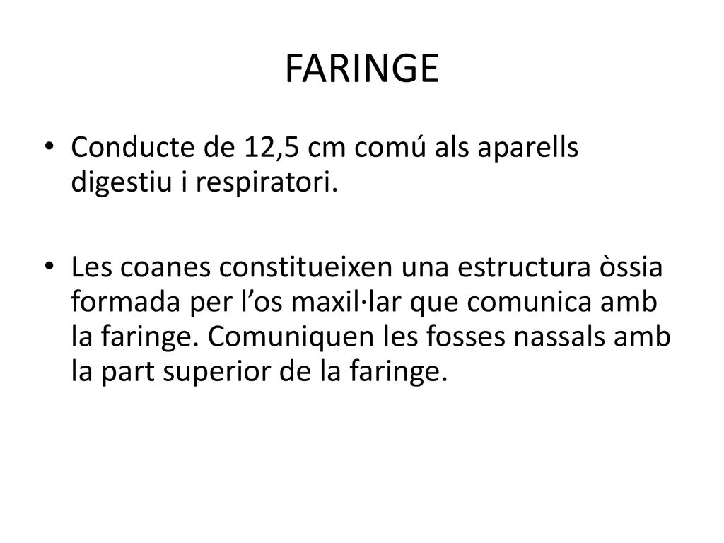 FARINGE Conducte de 12,5 cm comú als aparells digestiu i respiratori.