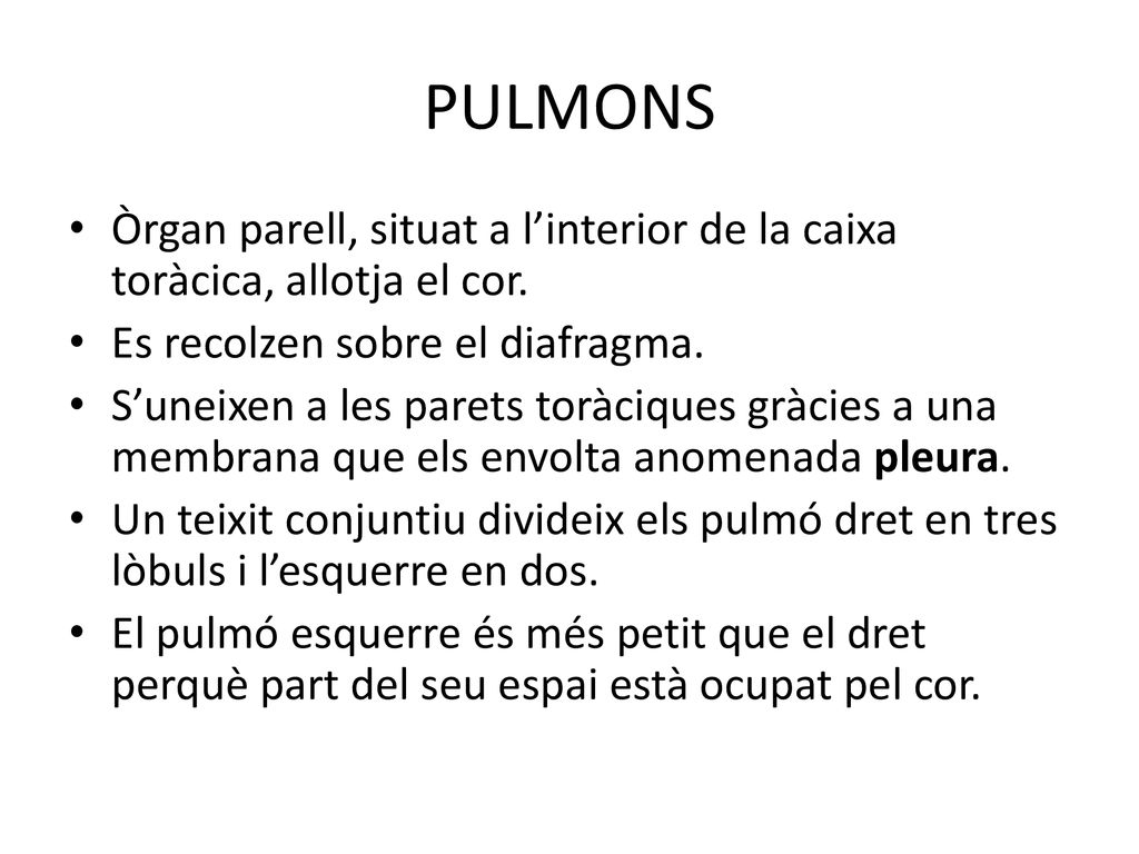 PULMONS Òrgan parell, situat a l’interior de la caixa toràcica, allotja el cor. Es recolzen sobre el diafragma.