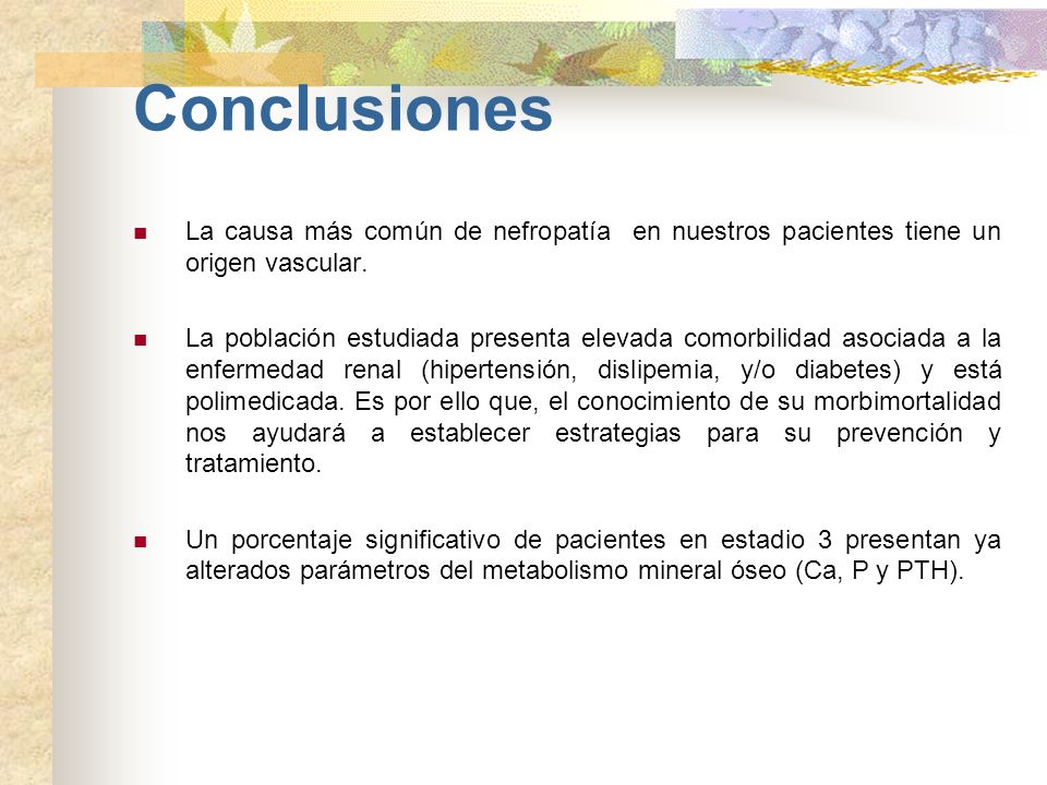 Conclusiones La causa más común de nefropatía en nuestros pacientes tiene un origen vascular.