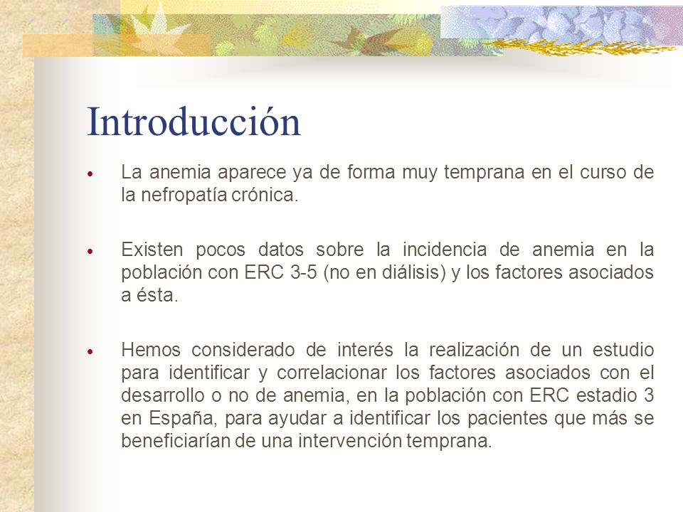 Introducción La anemia aparece ya de forma muy temprana en el curso de la nefropatía crónica.