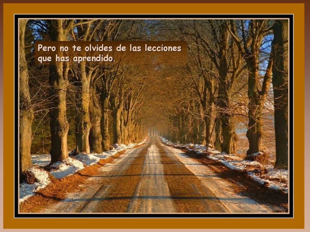 Pero no te olvides de las lecciones que has aprendido.