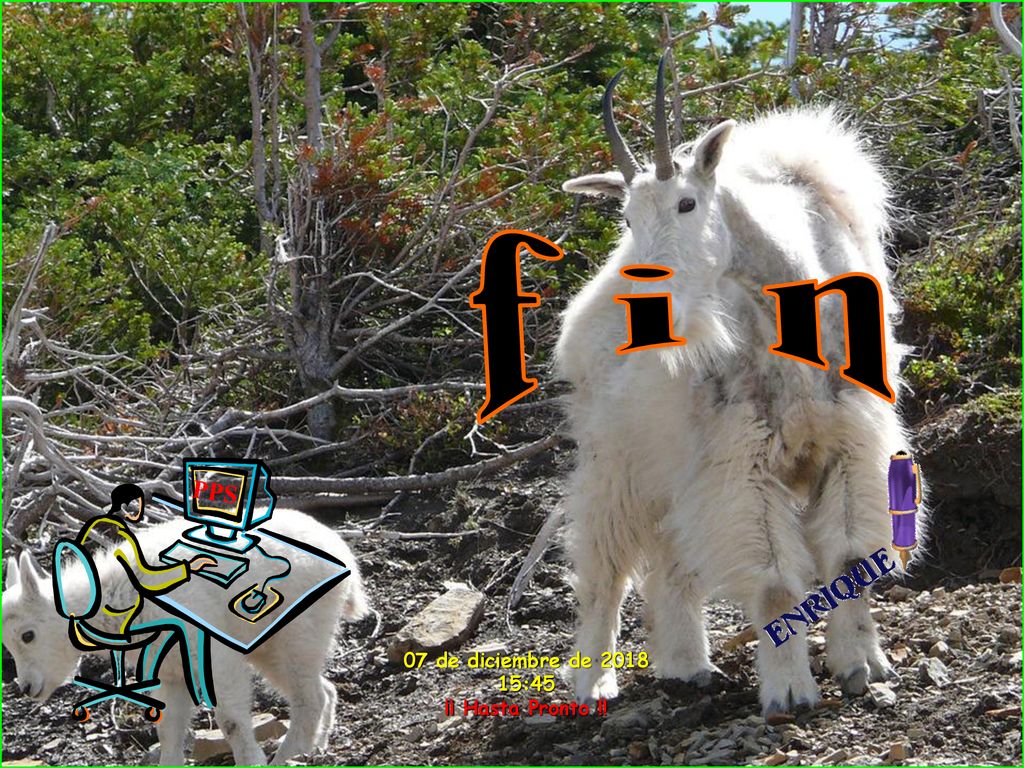 f i n PPS 07 de diciembre de :45 ¡¡ Hasta Pronto !!