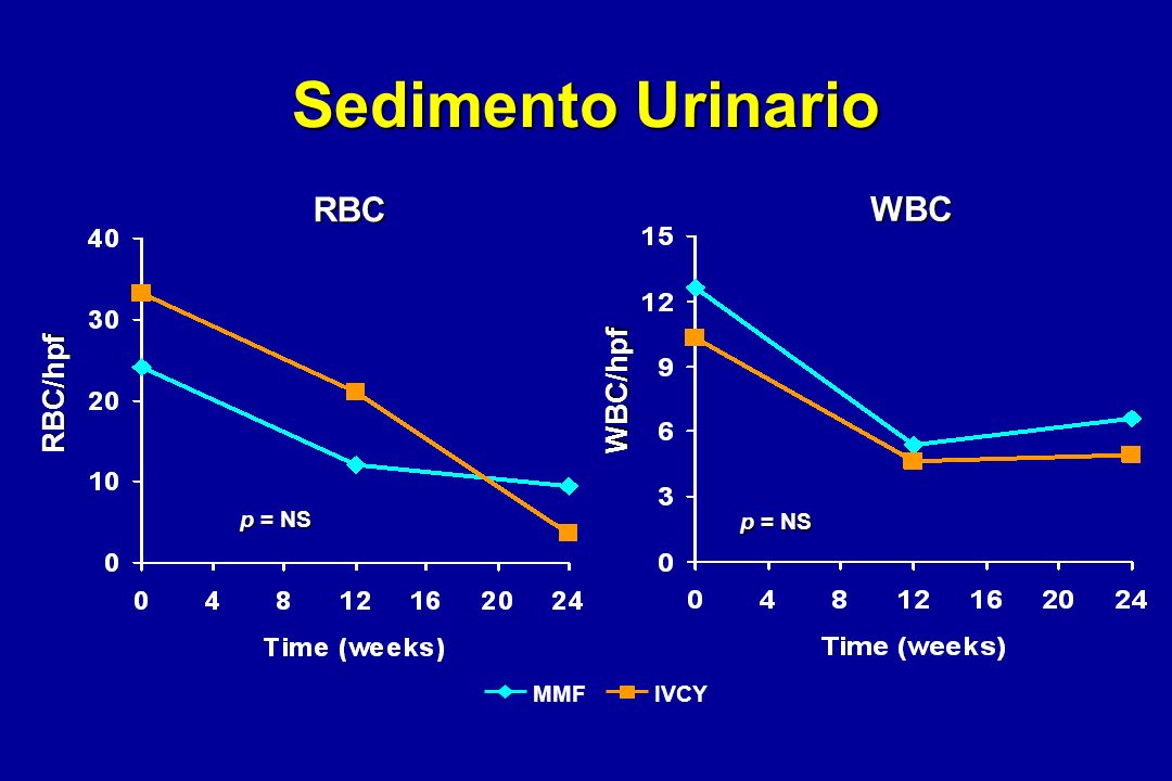 Sedimento Urinario RBC WBC RBC/hpf WBC/hpf p = NS p = NS MMF IVCY