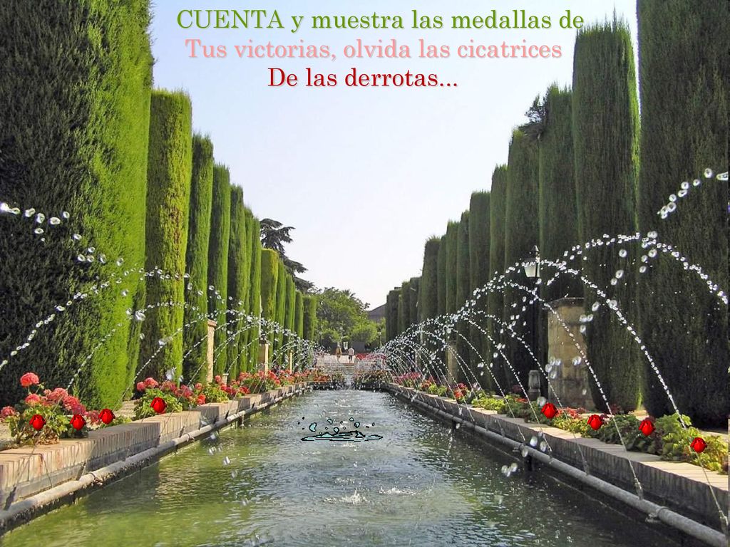 CUENTA y muestra las medallas de Tus victorias, olvida las cicatrices