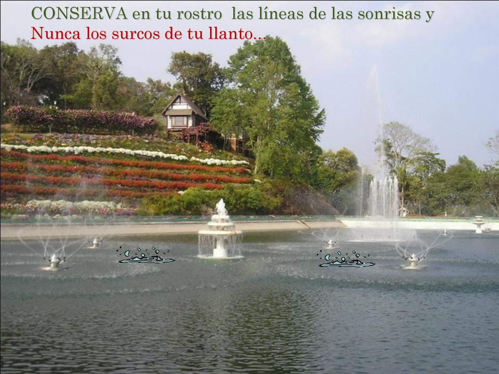 CONSERVA en tu rostro las líneas de las sonrisas y