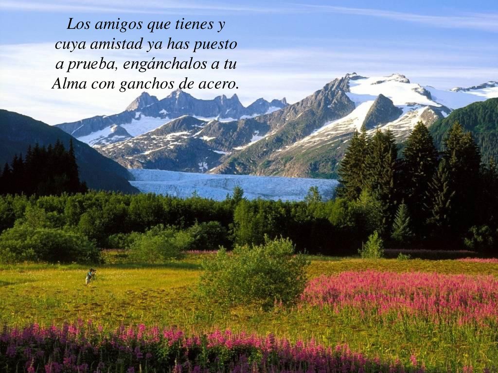 cuya amistad ya has puesto a prueba, engánchalos a tu