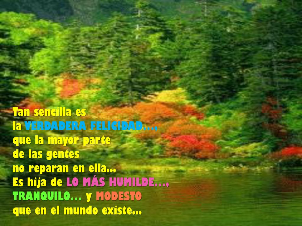 Tan sencilla es la VERDADERA FELICIDAD…, que la mayor parte. de las gentes. no reparan en ella...