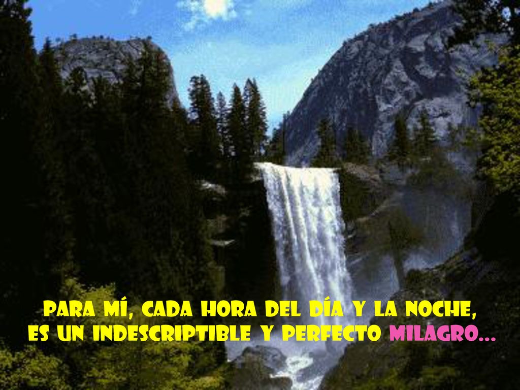 Para mí, cada hora del día y la noche,