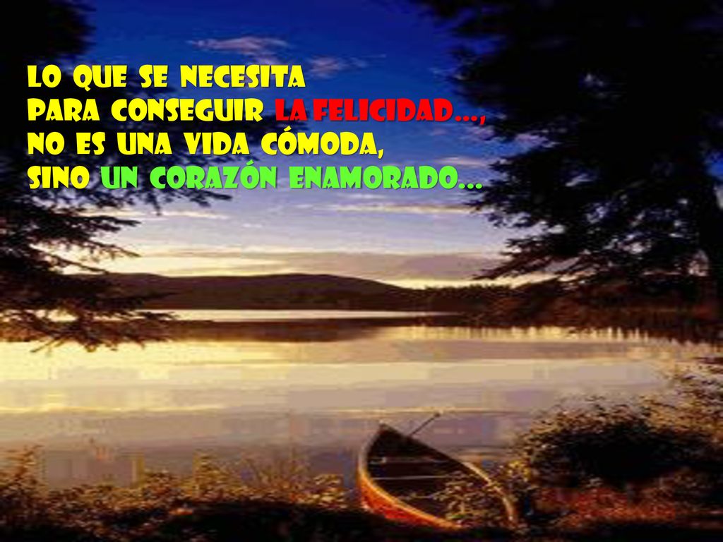 Lo que se necesita para conseguir la felicidad…, no es una vida cómoda, sino un corazón enamorado...