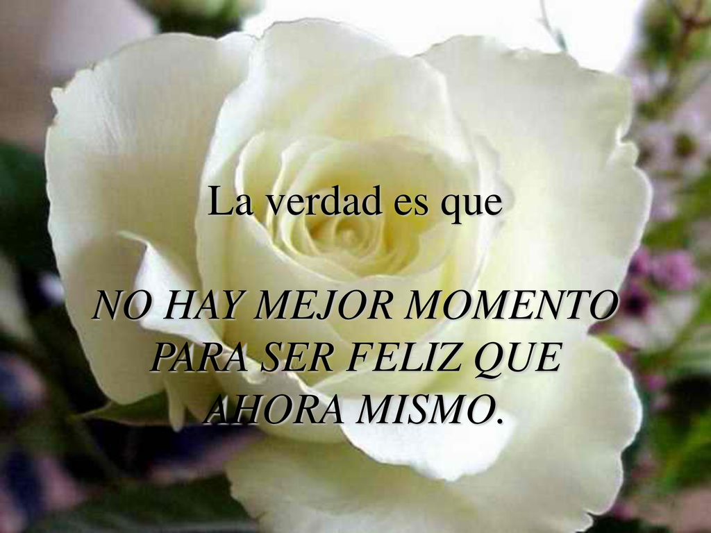 La verdad es que NO HAY MEJOR MOMENTO PARA SER FELIZ QUE AHORA MISMO.