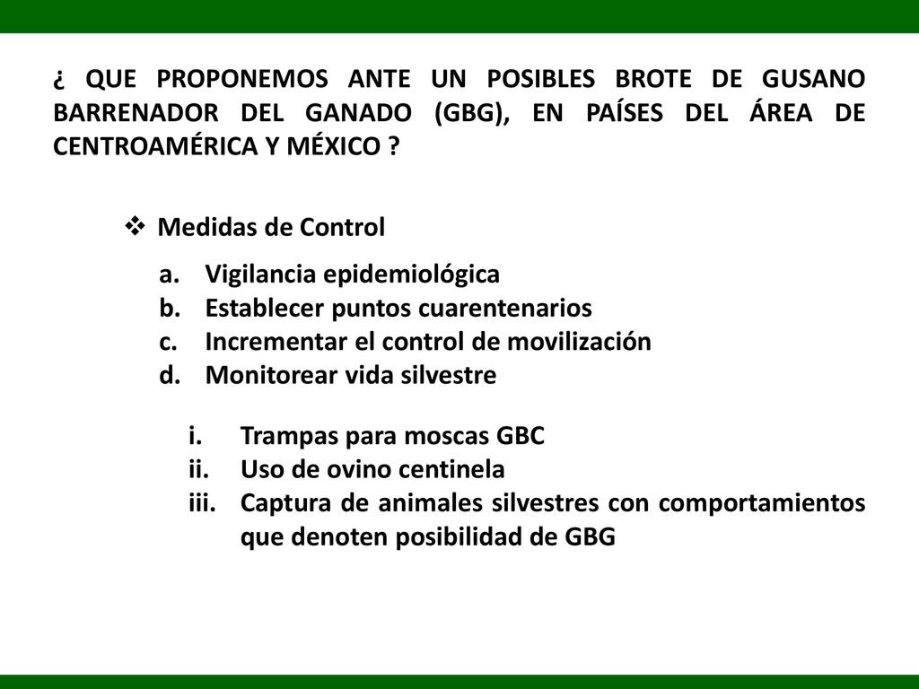 ¿ QUE PROPONEMOS ANTE UN POSIBLES BROTE DE GUSANO BARRENADOR DEL GANADO (GBG), EN PAÍSES DEL ÁREA DE CENTROAMÉRICA Y MÉXICO