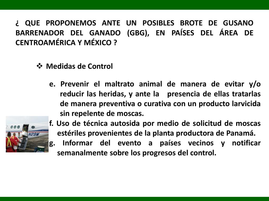 ¿ QUE PROPONEMOS ANTE UN POSIBLES BROTE DE GUSANO BARRENADOR DEL GANADO (GBG), EN PAÍSES DEL ÁREA DE CENTROAMÉRICA Y MÉXICO