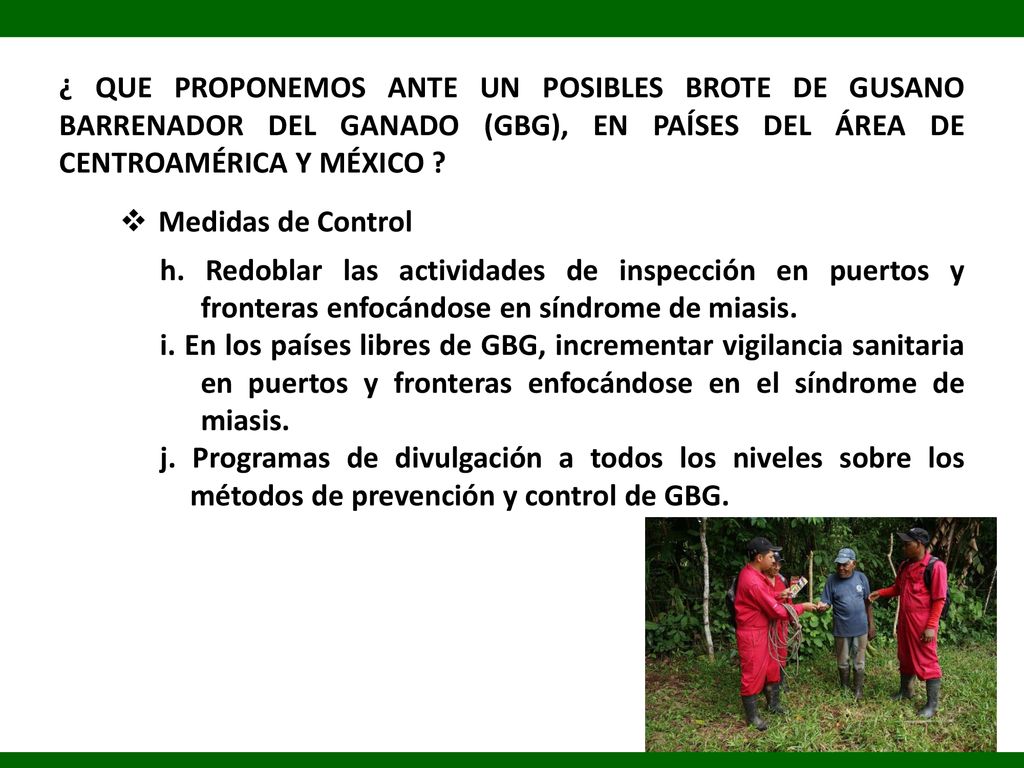 ¿ QUE PROPONEMOS ANTE UN POSIBLES BROTE DE GUSANO BARRENADOR DEL GANADO (GBG), EN PAÍSES DEL ÁREA DE CENTROAMÉRICA Y MÉXICO