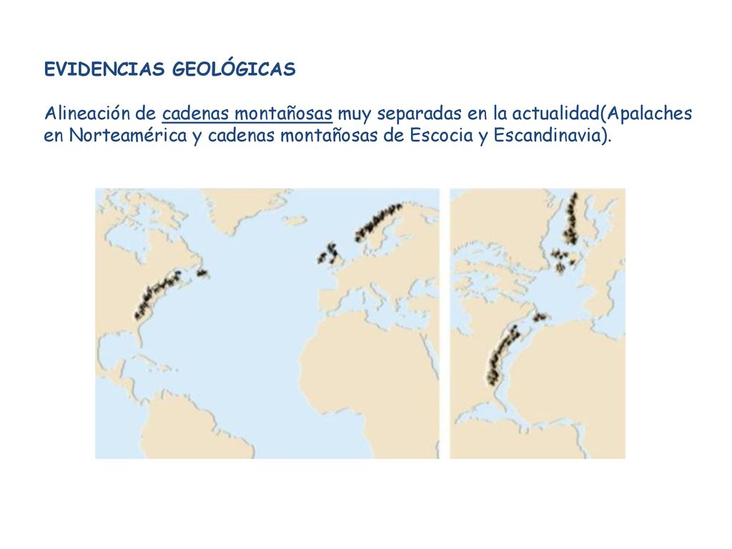 EVIDENCIAS GEOLÓGICAS Alineación de cadenas montañosas muy separadas en la actualidad(Apalaches en Norteamérica y cadenas montañosas de Escocia y Escandinavia).