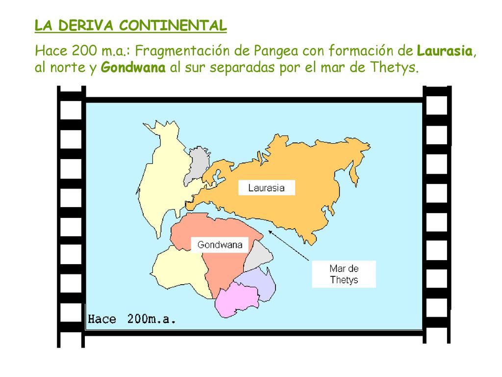 LA DERIVA CONTINENTAL Hace 200 m.a.: Fragmentación de Pangea con formación de Laurasia, al norte y Gondwana al sur separadas por el mar de Thetys.