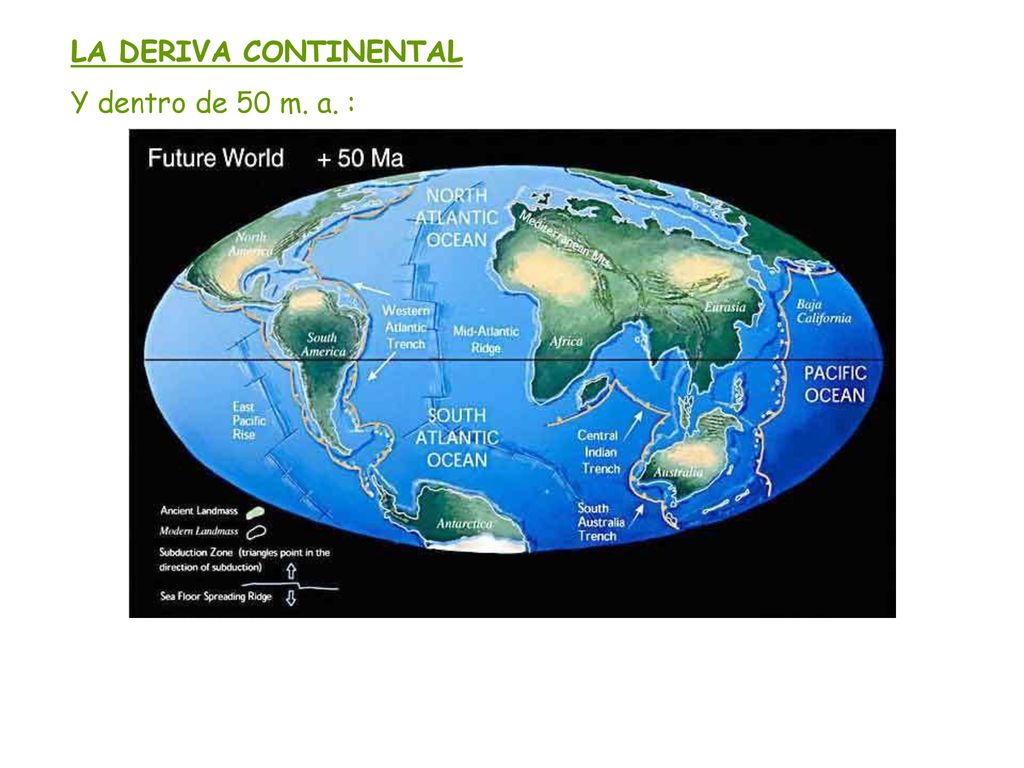 LA DERIVA CONTINENTAL Y dentro de 50 m. a. :