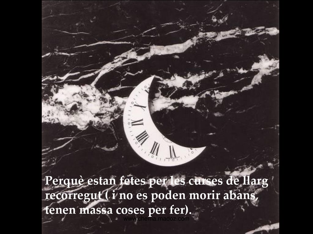 Perquè estan fetes per les curses de llarg recorregut ( i no es poden morir abans, tenen massa coses per fer).