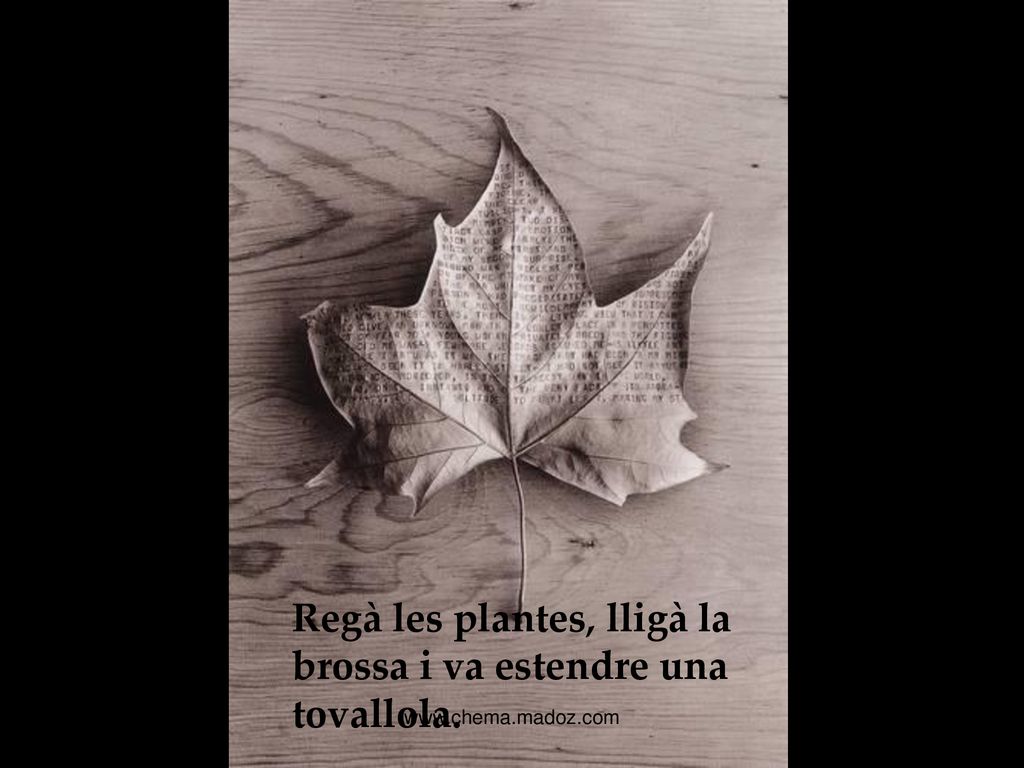 Regà les plantes, lligà la brossa i va estendre una tovallola.