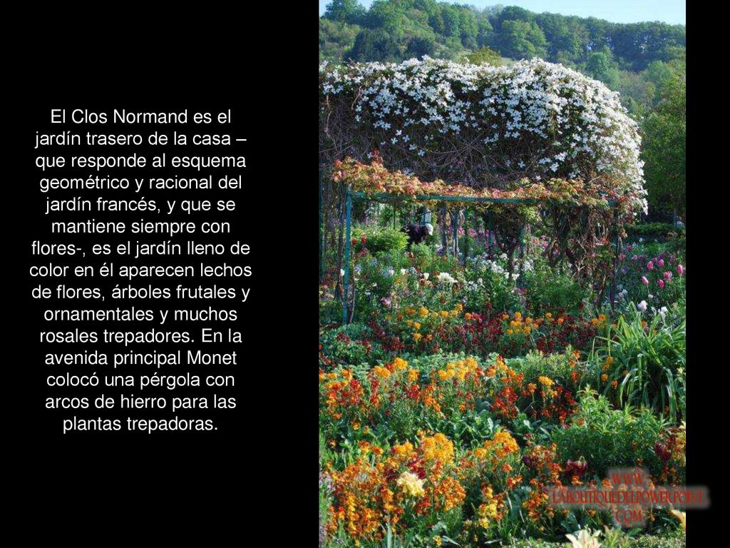 El Clos Normand es el jardín trasero de la casa –que responde al esquema geométrico y racional del jardín francés, y que se mantiene siempre con flores-, es el jardín lleno de color en él aparecen lechos de flores, árboles frutales y ornamentales y muchos rosales trepadores.
