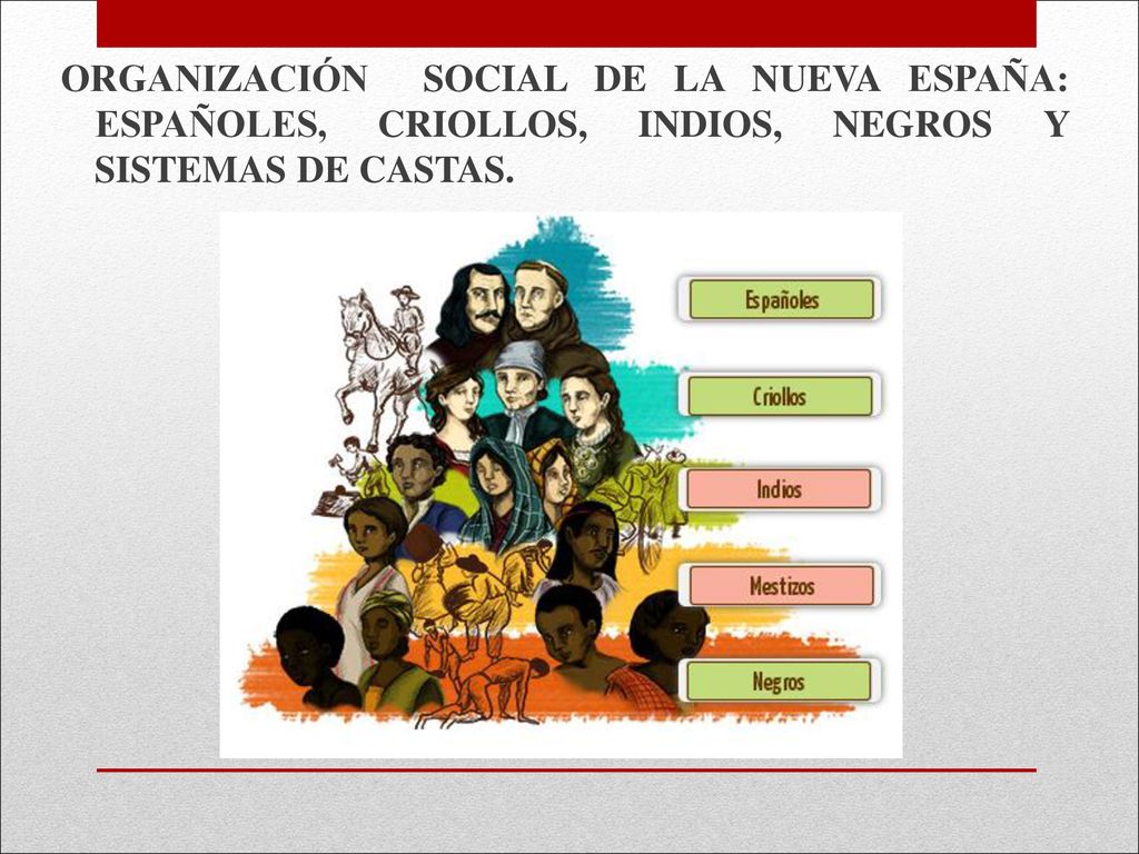 ORGANIZACIÓN SOCIAL DE LA NUEVA ESPAÑA: ESPAÑOLES, CRIOLLOS, INDIOS, NEGROS Y SISTEMAS DE CASTAS.