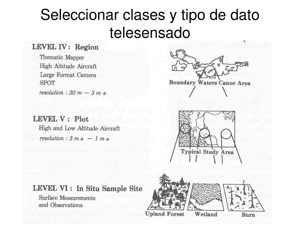 Seleccionar clases y tipo de dato telesensado
