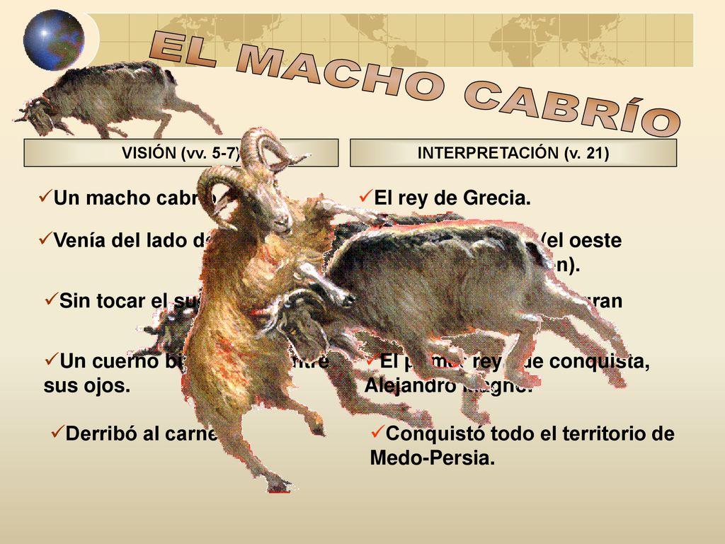 EL MACHO CABRÍO Un macho cabrío. El rey de Grecia.