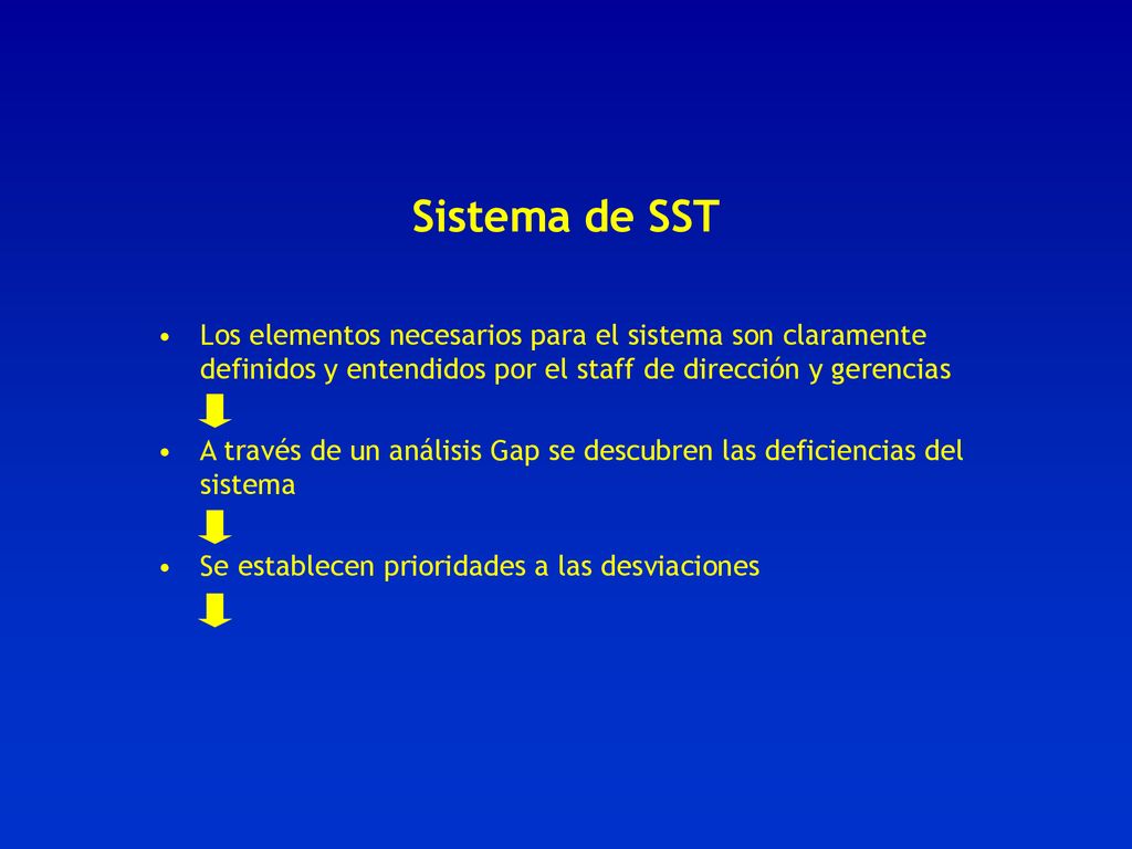 Sistema de SST Los elementos necesarios para el sistema son claramente definidos y entendidos por el staff de dirección y gerencias.