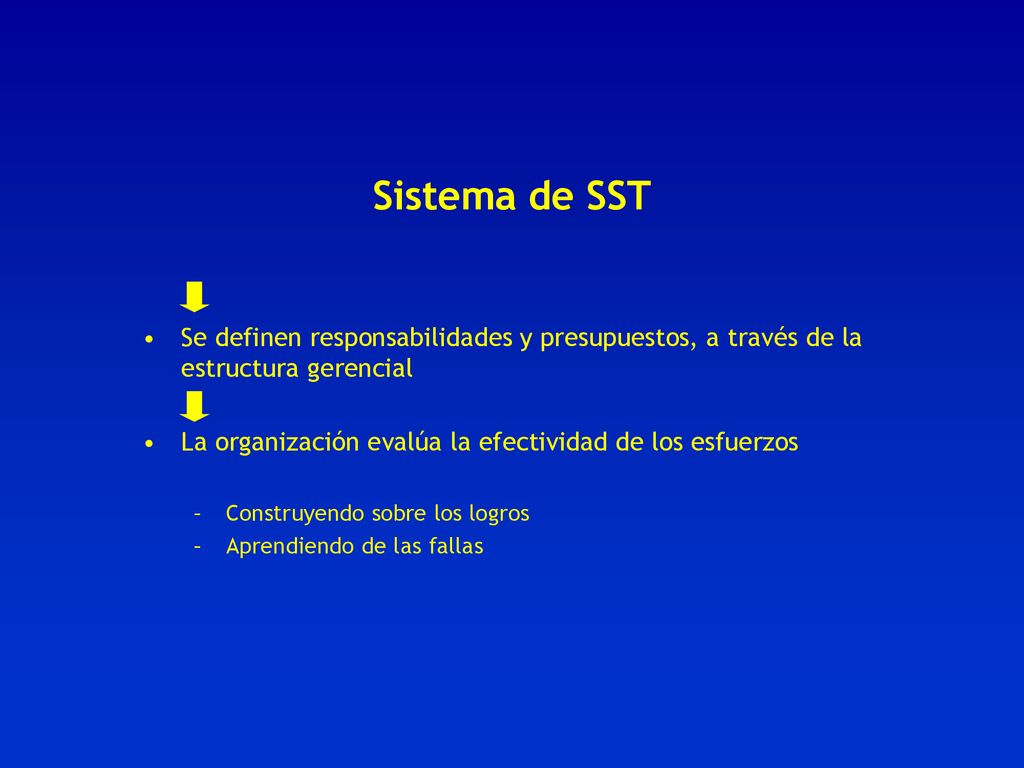 Sistema de SST Se definen responsabilidades y presupuestos, a través de la estructura gerencial.