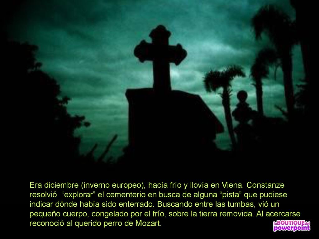 Era diciembre (inverno europeo), hacía frío y llovía en Viena