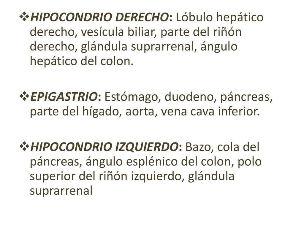 HIPOCONDRIO DERECHO: Lóbulo hepático derecho, vesícula biliar, parte del riñón derecho, glándula suprarrenal, ángulo hepático del colon.