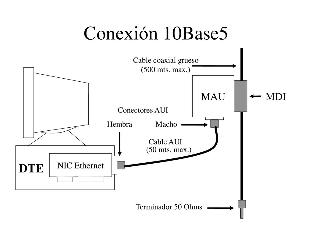 Conexión 10Base5 DTE MAU MDI NIC Ethernet Cable coaxial grueso