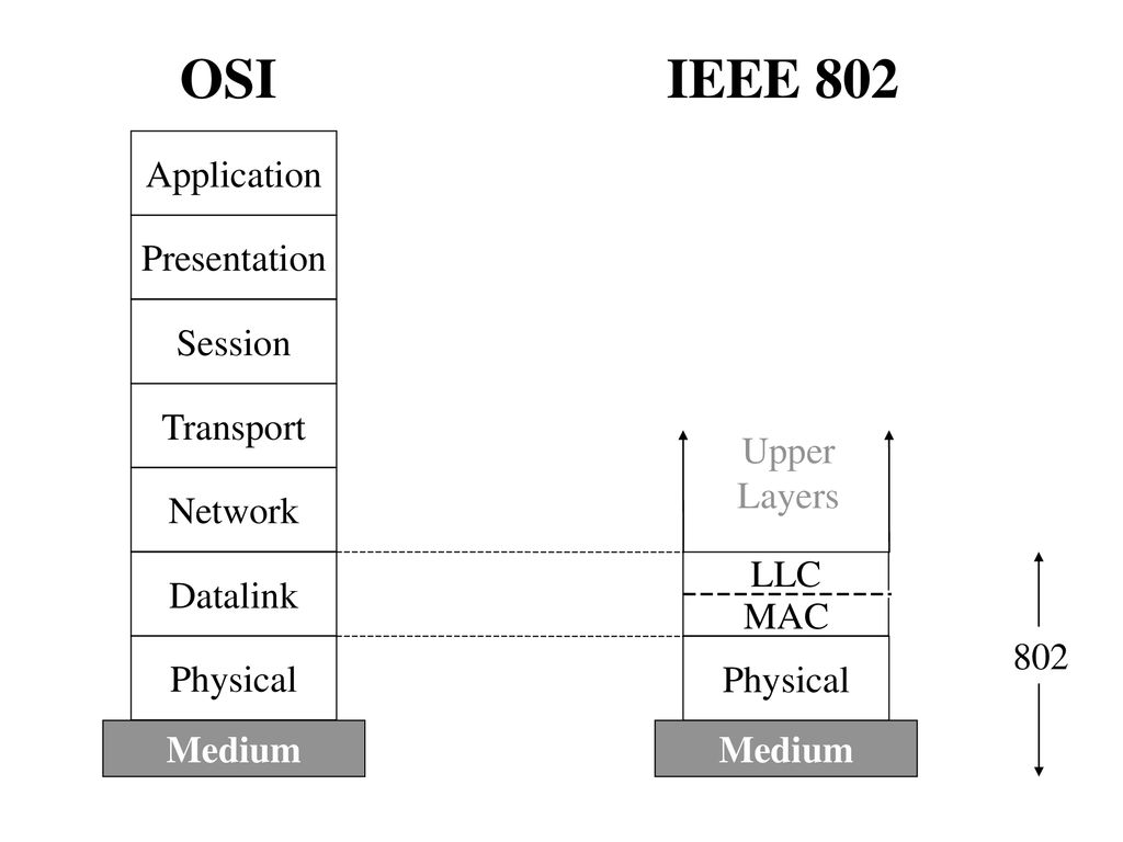 OSI IEEE 802 Application Presentation Session Transport Network