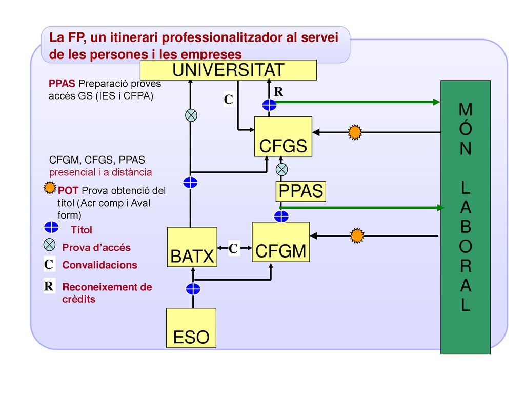 UNIVERSITAT M Ó N CFGS L A B O R PPAS CFGM BATX ESO